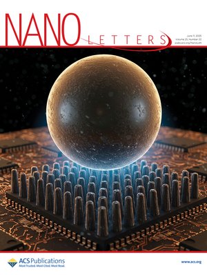 Nano Lett Cover